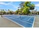 Community tennis courts with blue surfaces and well-maintained nets, surrounded by trees at 263 Sea Cloud Cir, Edisto Island, SC 29438