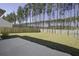 Large fenced backyard with lush green grass and tall pine trees in the background at 491 Fox Sparrow Ct, Summerville, SC 29486