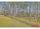 A view of the backyard with mature trees and lawn at 7803 Park Gate Dr, Charleston, SC 29418
