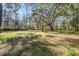 Expansive backyard with mature trees and dappled sunlight creating a serene and inviting outdoor space at 8115 Adams Run School Rd, Adams Run, SC 29426