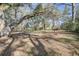 Spacious backyard featuring mature trees providing ample shade and a picturesque landscape at 8115 Adams Run School Rd, Adams Run, SC 29426