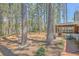 Spacious backyard surrounded by tall pine trees and a screened porch, perfect for outdoor entertaining and relaxation at 891 Wynford Ct, Mount Pleasant, SC 29464