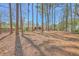 Large backyard with mature trees providing ample shade and privacy for outdoor enjoyment and activities at 891 Wynford Ct, Mount Pleasant, SC 29464