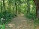 Scenic wooded walking trail, full of native trees and lush greenery; perfect for nature lovers at 1173 Triple Crown Court, Mount Pleasant, SC 29429