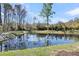 Scenic view of the peaceful backyard pond surrounded by nature at 1173 Triple Crown Court, Mount Pleasant, SC 29429
