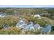 Overhead shot of a residential area featuring well-kept homes and dense foliage, perfect for privacy and nature at 1450 Eutaw Battalion Dr, Charleston, SC 29412