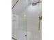 Stylish bathroom shower featuring gold hardware, white tile and patterned flooring at 178 Beresford Creek St, Daniel Island, SC 29492