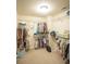 Well-organized walk-in closet featuring shelves and rods for organized clothing and storage at 2049 Maybelles Ln, Charleston, SC 29414