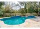 Inviting backyard pool with tanning ledge, lush landscaping, and mature trees providing shade and privacy at 2165 Annie Laura Ln, Mount Pleasant, SC 29466