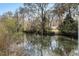 Scenic view of the property's serene pond with surrounding natural landscape at 2899 Doncaster Dr, Charleston, SC 29414