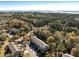 Scenic aerial view of townhomes surrounded by lush greenery and distant marsh views under a clear sky at 2920 Woodland Park Dr, Mount Pleasant, SC 29466