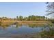 Picturesque waterfront views from the backyard featuring a private dock at 2961 Yachtsman Dr, Mount Pleasant, SC 29466