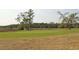 Lush golf course with a green and trees and a river in the background at 2961 Yachtsman Dr, Mount Pleasant, SC 29466