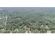 Aerial shot of wooded neighborhood at 3166 Edenvale Rd, Johns Island, SC 29455