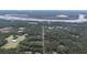 Aerial view of property, surrounded by trees and a river nearby at 3166 Edenvale Rd, Johns Island, SC 29455