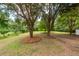 Spacious back yard with mature trees providing shade and privacy at 3166 Edenvale Rd, Johns Island, SC 29455
