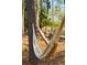 Relaxing backyard hammock nestled among trees at 3894 Sawyers Island Dr, Mount Pleasant, SC 29466