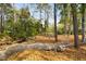 Hammock slung between the trees at 3894 Sawyers Island Dr, Mount Pleasant, SC 29466