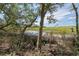 Picturesque marsh view framed by lush trees, offering a serene glimpse of coastal beauty and natural tranquility at 3894 Sawyers Island Dr, Mount Pleasant, SC 29466