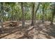 Shady picnic area with wooden table among trees at 3894 Sawyers Island Dr, Mount Pleasant, SC 29466