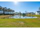 Scenic pond surrounded by lush greenery and well-maintained landscaping, creating a tranquil and picturesque view at 3894 Sawyers Island Dr, Mount Pleasant, SC 29466