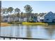 Picturesque view of a tranquil pond surrounded by well-maintained homes and lush landscaping at 3894 Sawyers Island Dr, Mount Pleasant, SC 29466
