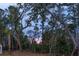 Scenic view through the trees during sunset at 3894 Sawyers Island Dr, Mount Pleasant, SC 29466