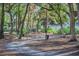Scenic walking path winding through a lush, green community at 400 Bucksley Ln # 103, Charleston, SC 29492