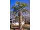 Beautiful home featuring classic white siding and mature palm trees, adding a touch of tropical elegance at 412 Arlington Dr, Charleston, SC 29414