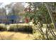 Beautiful landscaping with red camellia bush, adding a pop of color and elegance to the outdoor space at 412 Arlington Dr, Charleston, SC 29414
