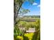Scenic view featuring waterfront access, lush vegetation, and a charming dock, highlighting the property's natural beauty at 430 Fish Tale Rd, Charleston, SC 29492
