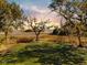 Picturesque backyard view featuring mature trees, marsh views, and a tranquil sunset at 5010 Timber Race Crse, Hollywood, SC 29449