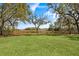 Expansive backyard with mature trees, lush lawn, and serene natural surroundings at 5010 Timber Race Crse, Hollywood, SC 29449