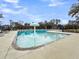 Zero-entry community pool with a mushroom water feature surrounded by trees and lounge chairs at 5115 Cranesbill Way, Johns Island, SC 29455