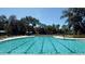 A long lap pool with clear blue water and seating all around at 5115 Cranesbill Way, Johns Island, SC 29455