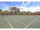 A community tennis court showcases meticulously maintained courts with fresh lines and net at 740 Stucco Ln, Mount Pleasant, SC 29464