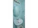 Powder room featuring a pedestal sink, decorative mirror, and blue colored walls at 1002 Elm Hall Cir, Summerville, SC 29483