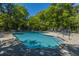 Beautiful community pool with lounge chairs, umbrellas and lush surrounding trees at 1002 Elm Hall Cir, Summerville, SC 29483