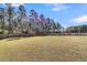 Large backyard surrounded by mature trees and a wooden fence at 1144 Wading Point Blvd, Huger, SC 29450