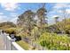 A backyard view with tall trees, a wooden fence, and a lush green lawn at 185 5Th Ave, Mount Pleasant, SC 29464