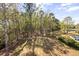 Spacious backyard featuring mature trees and lush landscaping, creating a private and serene outdoor space at 2912 Yachtsman Dr, Mount Pleasant, SC 29466