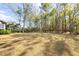 Large backyard surrounded by trees offering a serene and private setting at 2912 Yachtsman Dr, Mount Pleasant, SC 29466