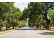 Charming street view lined with mature trees and Spanish moss leading to a property at 2912 Yachtsman Dr, Mount Pleasant, SC 29466