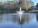Scenic view of a neighborhood pond with a fountain feature enhancing the tranquil and picturesque setting at 303 Pine Bluff Dr, Summerville, SC 29483