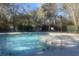 Community pool featuring clear water, surrounded by mature trees, and offering a relaxing outdoor space at 303 Pine Bluff Dr, Summerville, SC 29483