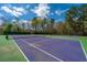 Well-maintained tennis courts in a beautiful, wooded setting for sports and leisure activities at 401 Forsythia Ave, Summerville, SC 29483