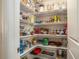 Walk-in pantry featuring wire shelving and organized storage space for food and kitchen items at 415 Four Seasons Blvd, Summerville, SC 29486