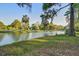 Scenic pond featuring palm trees and lush landscaping, enhancing the beauty of the surrounding homes at 5208 Holly Forest, Hollywood, SC 29449