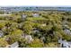 Aerial view of houses surrounded by lush trees and a view of the cityscape with a bridge at 7 Guerard Rd, Charleston, SC 29407