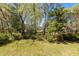 Spacious backyard featuring mature trees and a well-maintained lawn at 104 Abrum Ct, Goose Creek, SC 29445